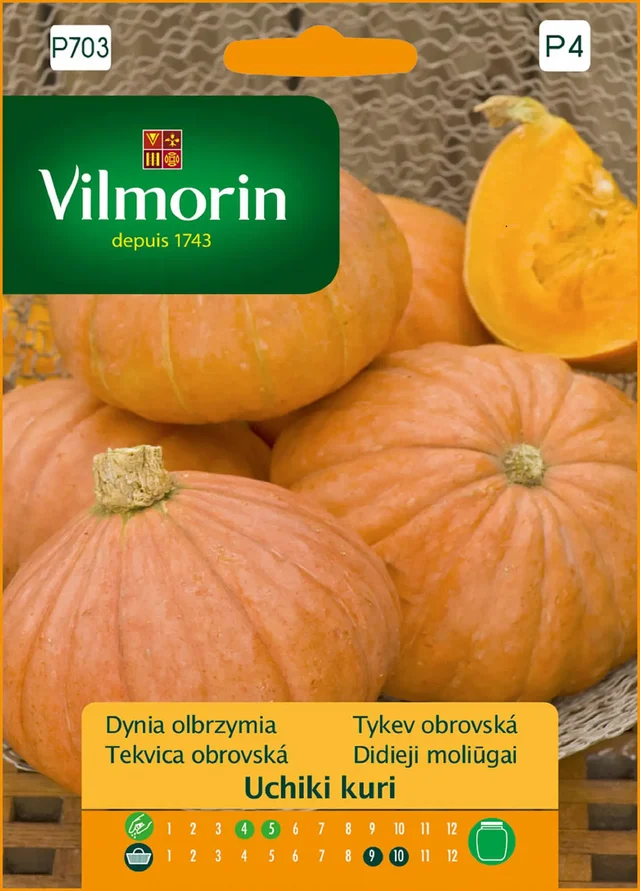 Dynia olbrzymia Uchiki Kuri nasiona Vilmorin