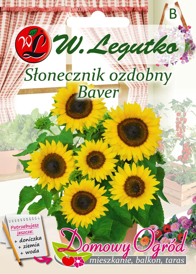 Słonecznik ozdobny Baver nasiona tradycyjne W.Legutko