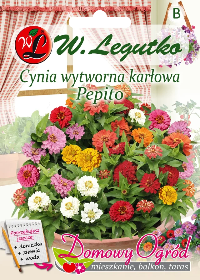 Cynia wytworna karłowa Pepito nasiona tradycyjne W.Legutko