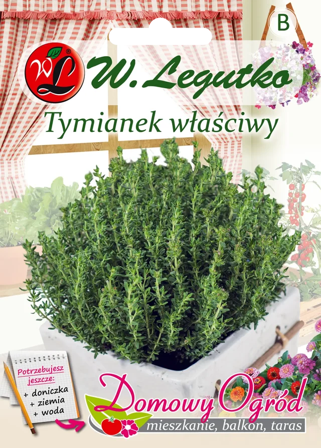 Tymianek właściwy 'Słoneczko' nasiona tradycyjne W. Legutko