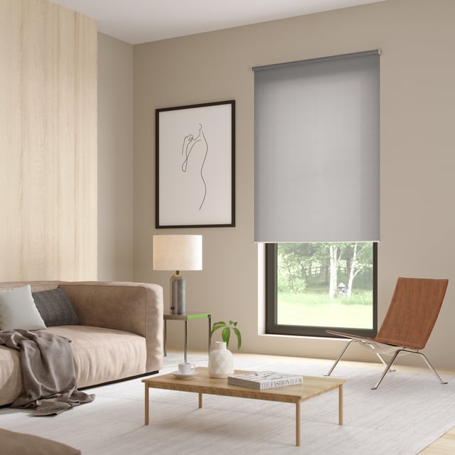Tenda a rullo motorizzabile filtrante INSPIRE Samba grigio chiaro 55x190 cm